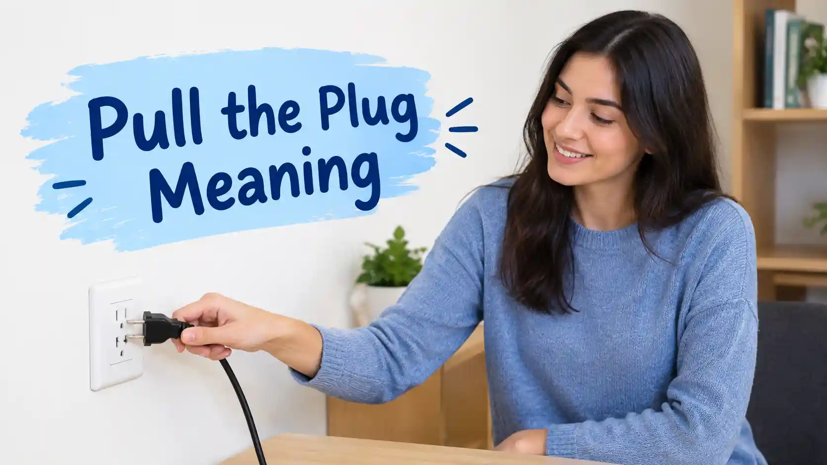 Pull the Plug Meaning