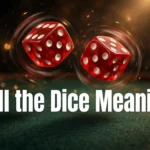 Roll the Dice Meaning